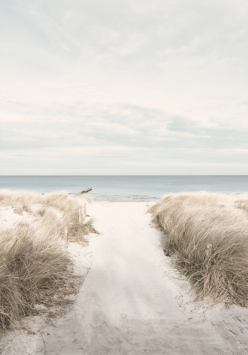 Sandy Path To The Sea Plakat