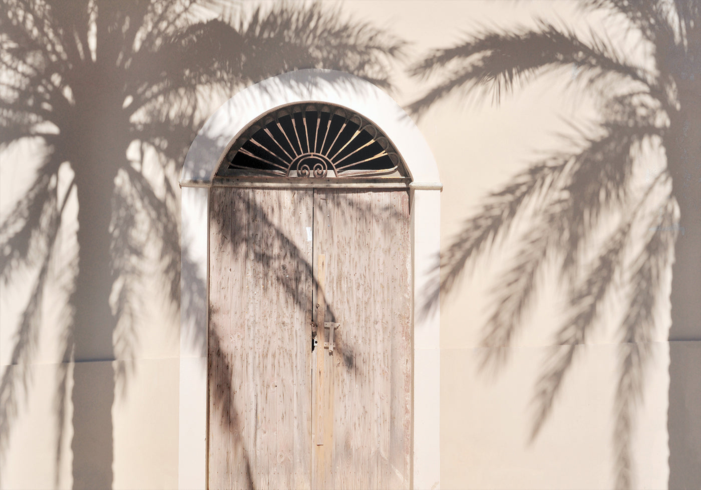 Shade of Palm Trees Plakat