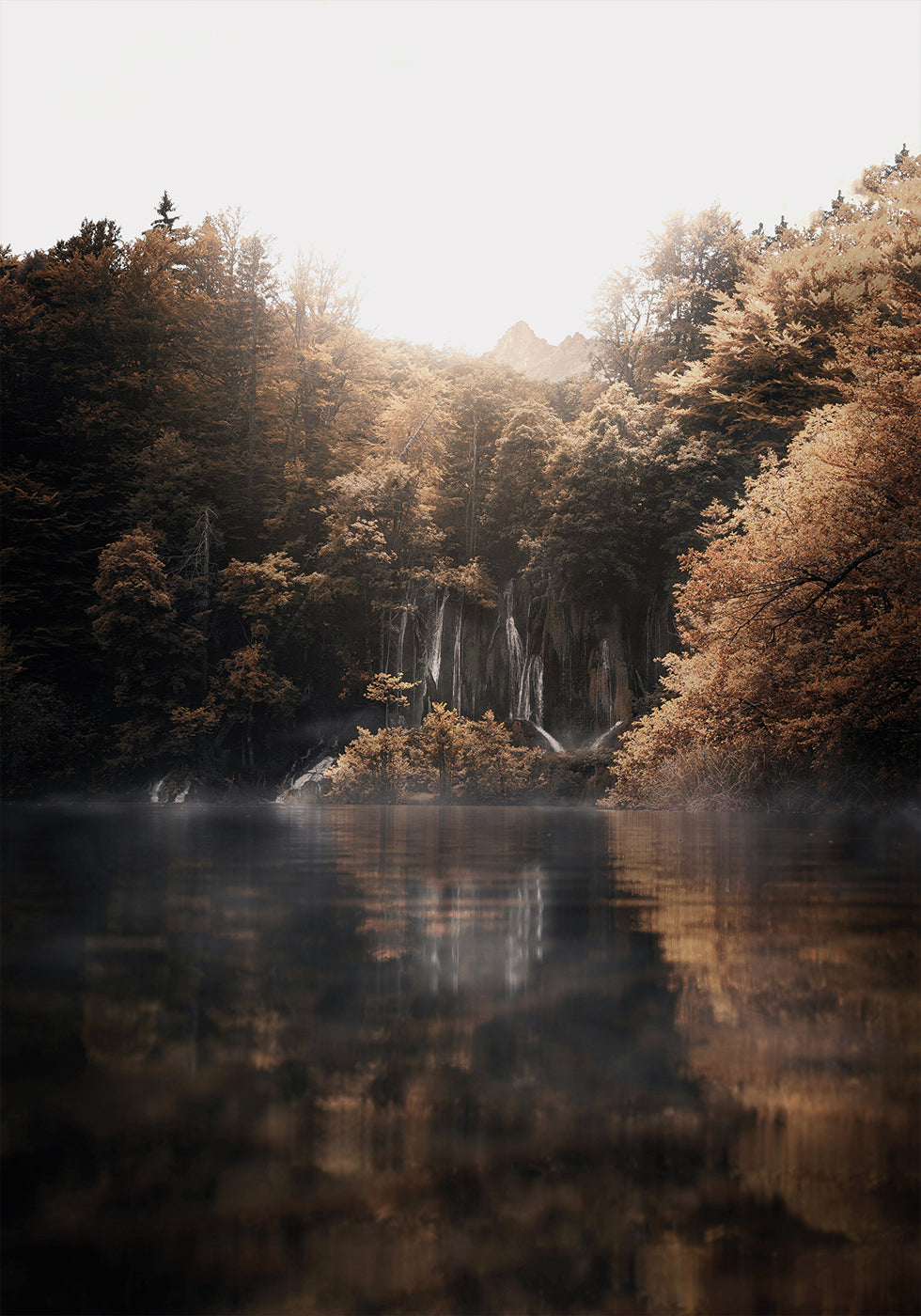 Sunrise in the Misty Forest with Reflections Plakat