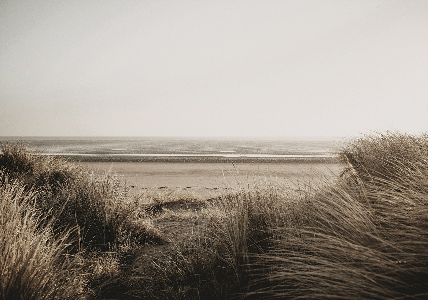 View Of The Beach From Behind The Grass Plakat