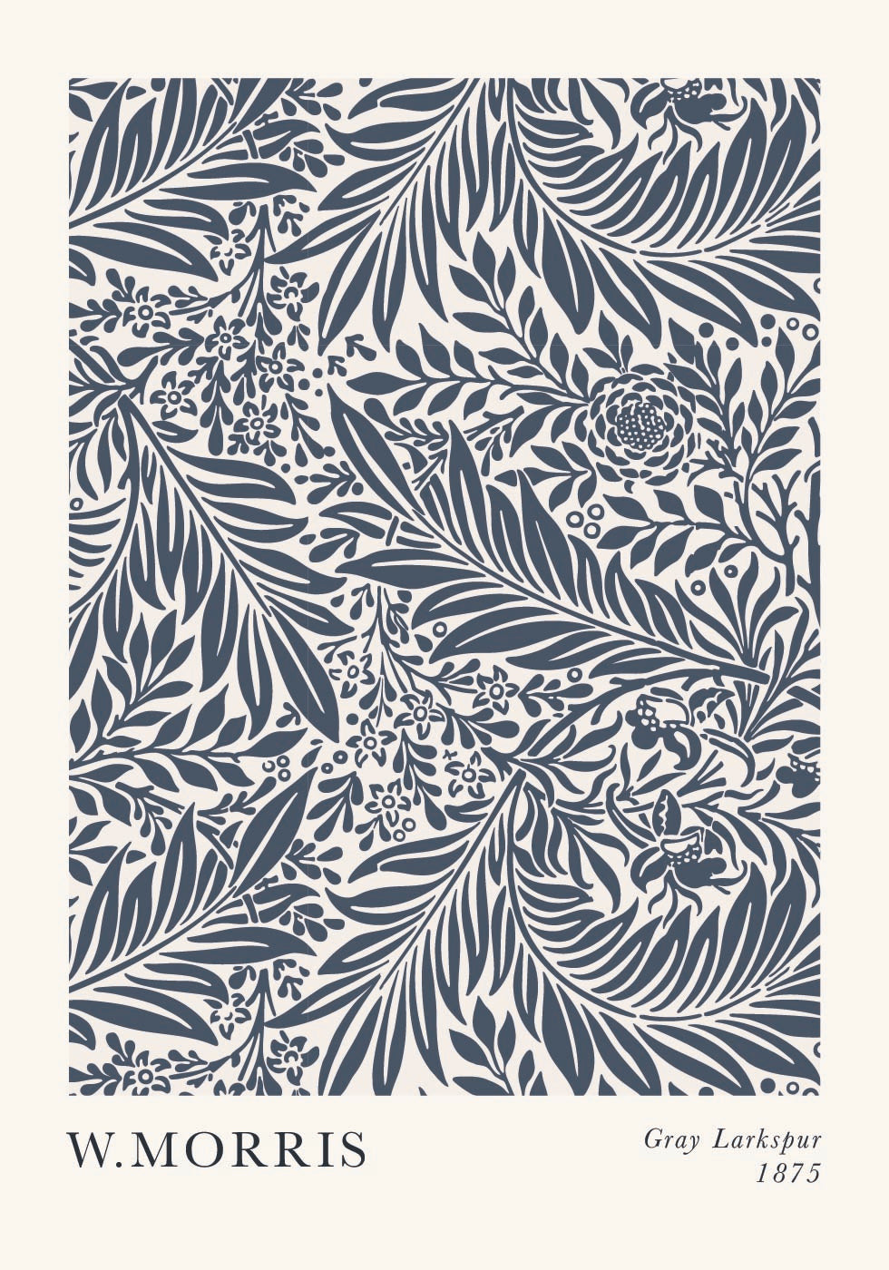 Gray Larkspur Plakat