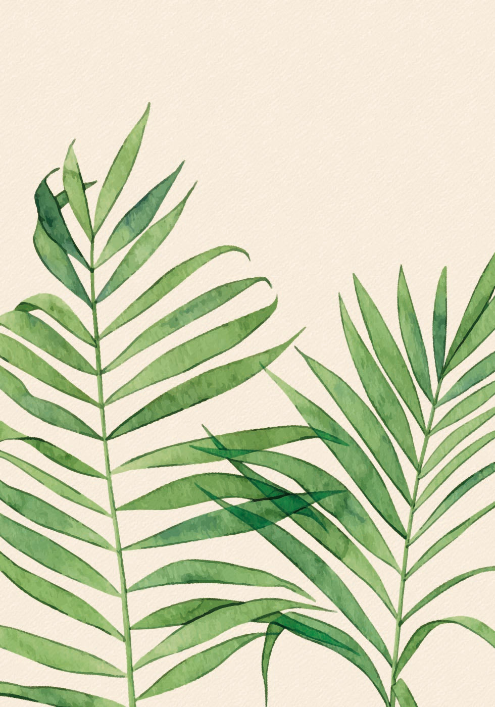 Watercolor Palm Leaf Plakat