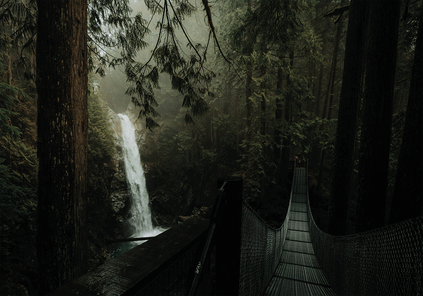 Waterfall in the Forest Plakat