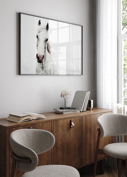 White Horse in Nature Plakat