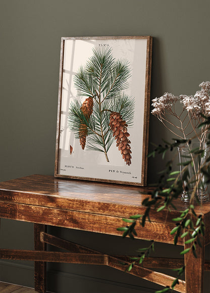 White Pine Botanical Plakat