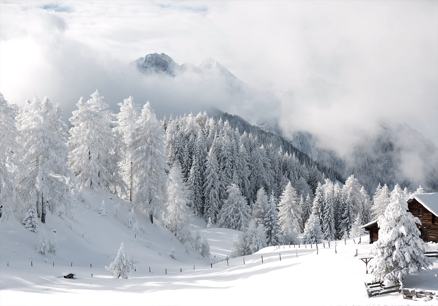 Winter Magic in the Alps Plakat