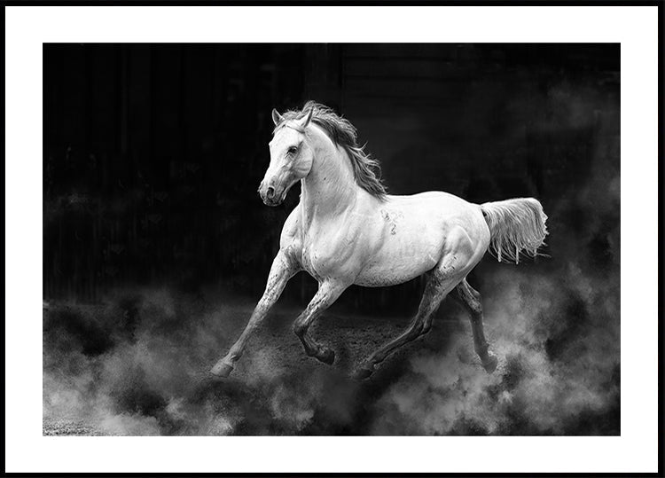 Fergana horse Plakat