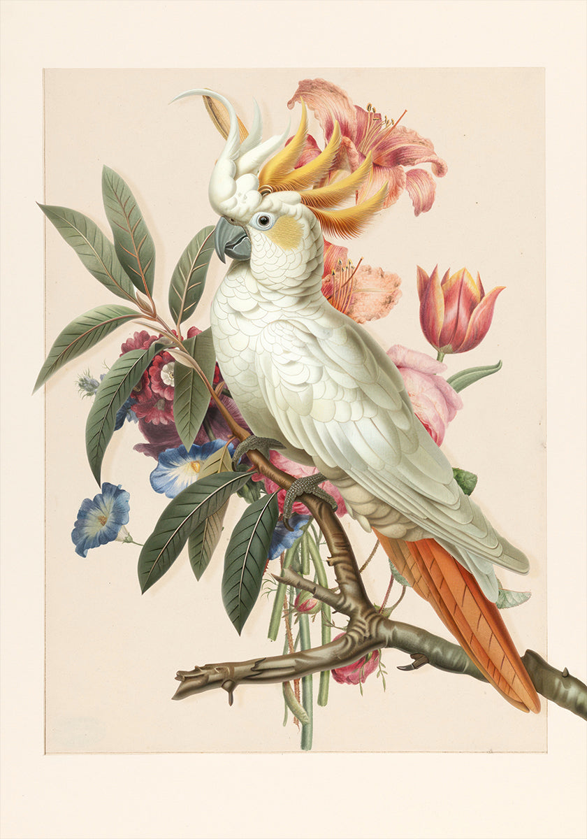 Henriëtta’s Bird Plakat
