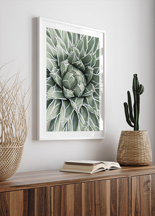 a picture of a green plant in a white frame