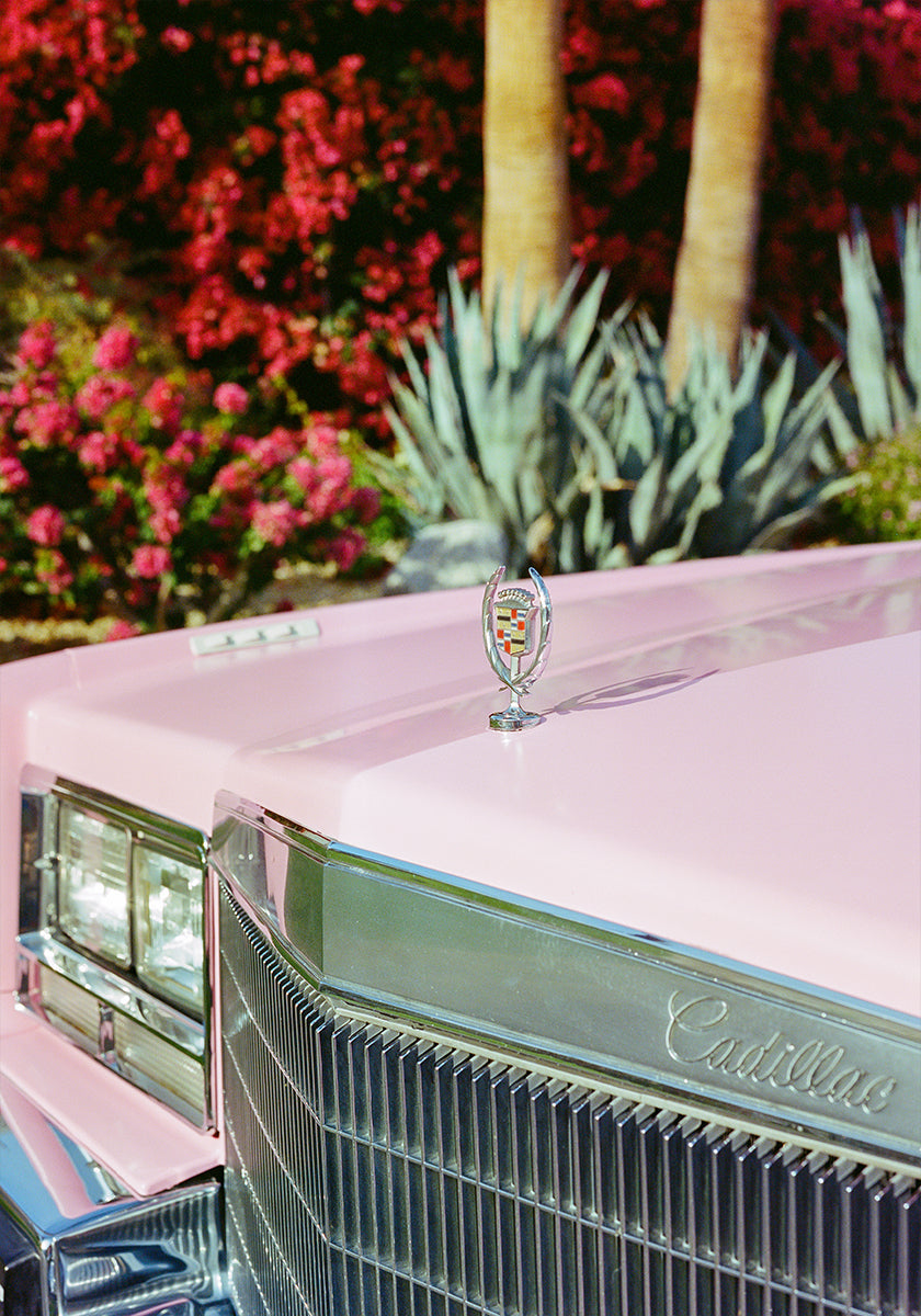 Palm Springs Ride III Plakat