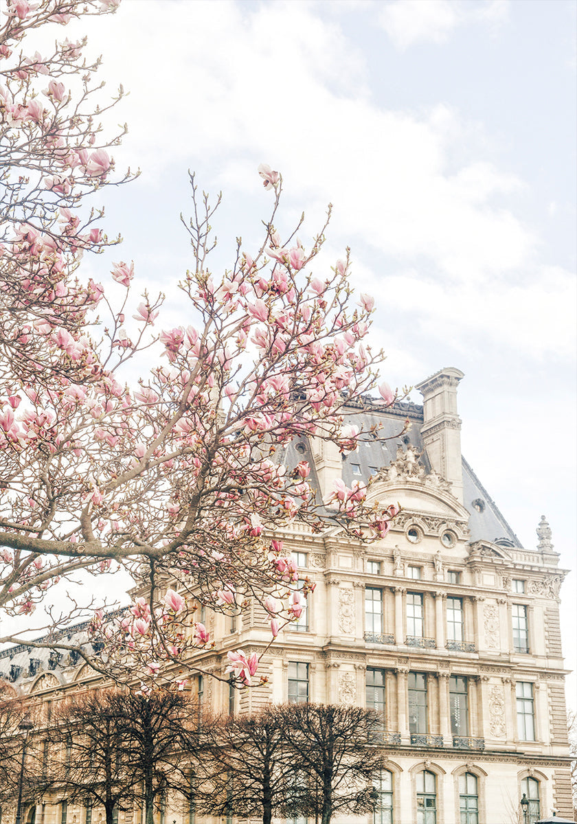 Parisspring Ratio2x3 Plakat