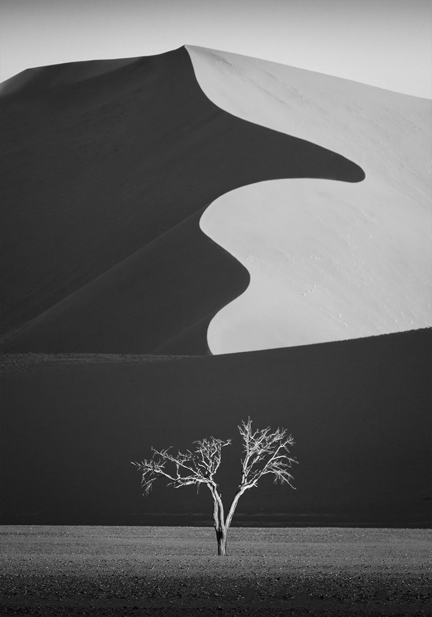 Light & shadow Plakat