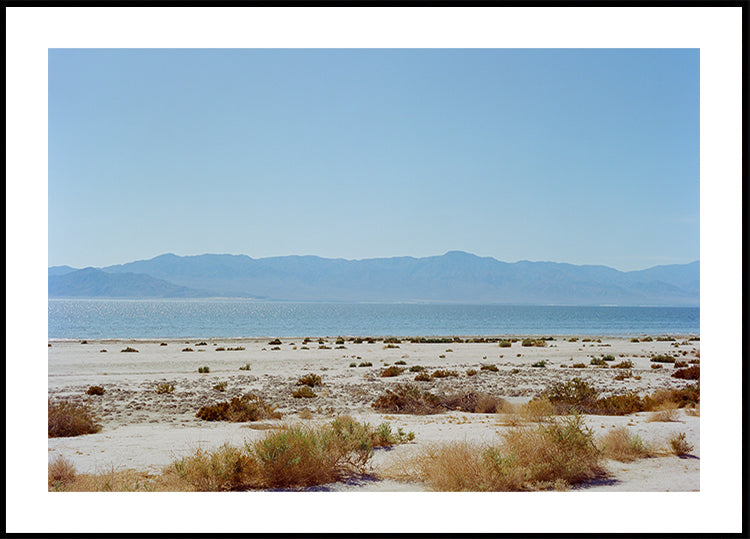 Bombay Beach Spring Plakat
