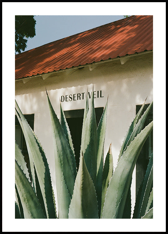 Desert Veil Plakat
