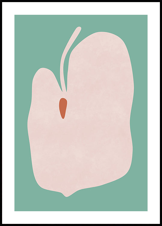 Pink Anthurium Flower Plakat