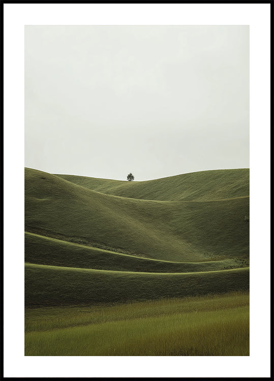 Foggy Green Hill Plakat