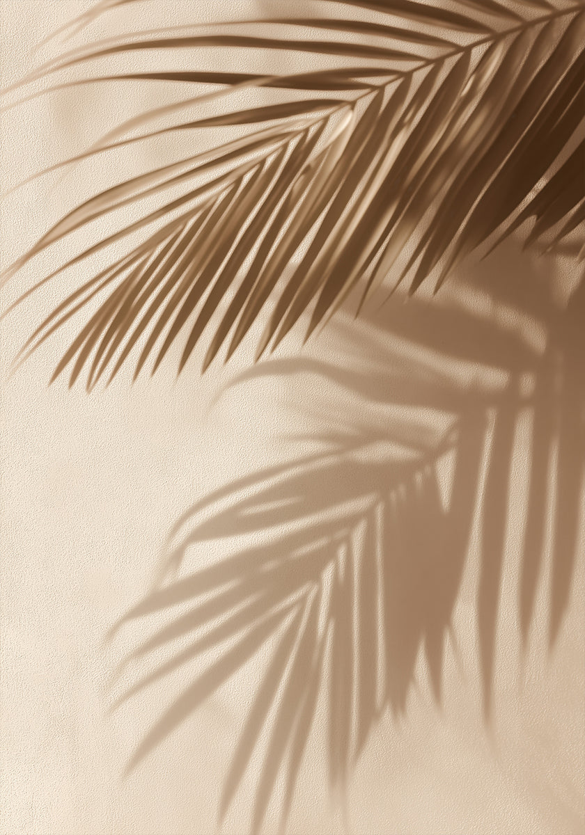 Palm Leaf Shadows Plakat