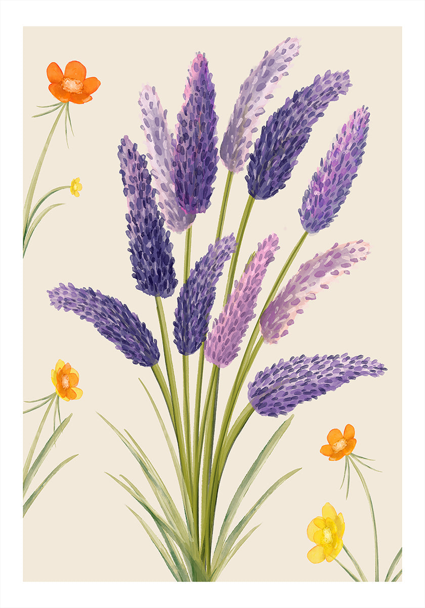 Lavender Dreams Plakat