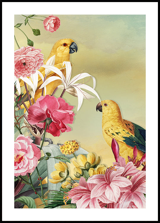 Birds From Paradise Plakat