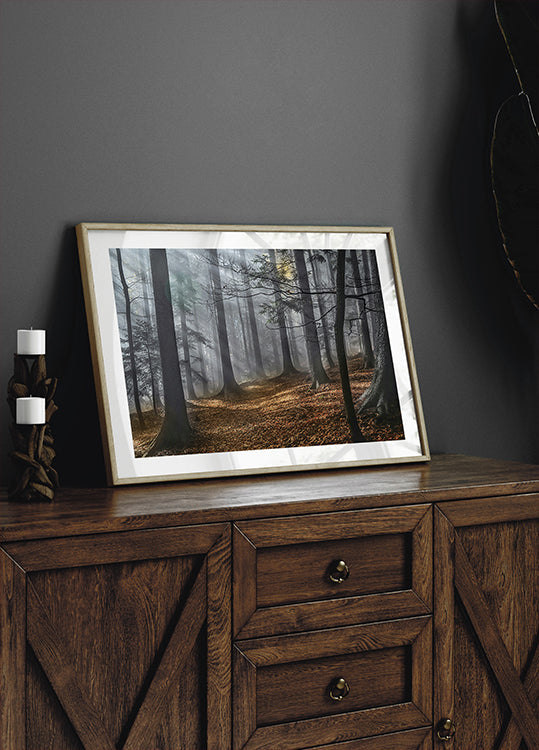 Enchanted forest Plakat