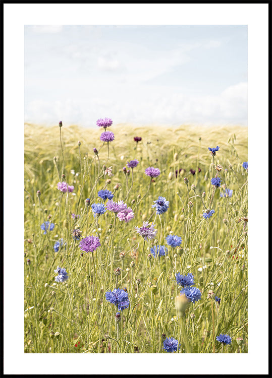 All the Wildflowers Plakat