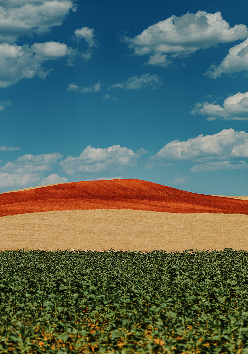 Colorful Hillside Plakat