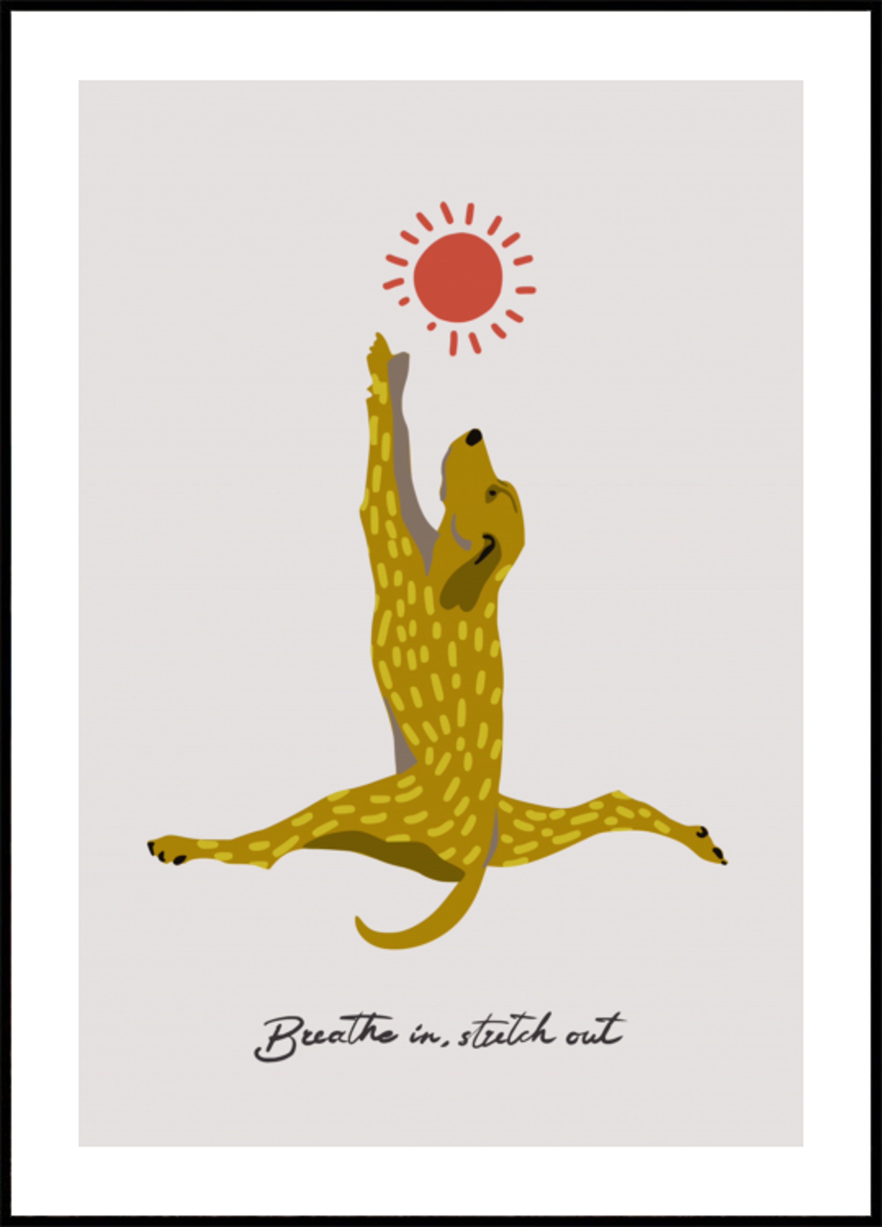 Stretching Dog Sun