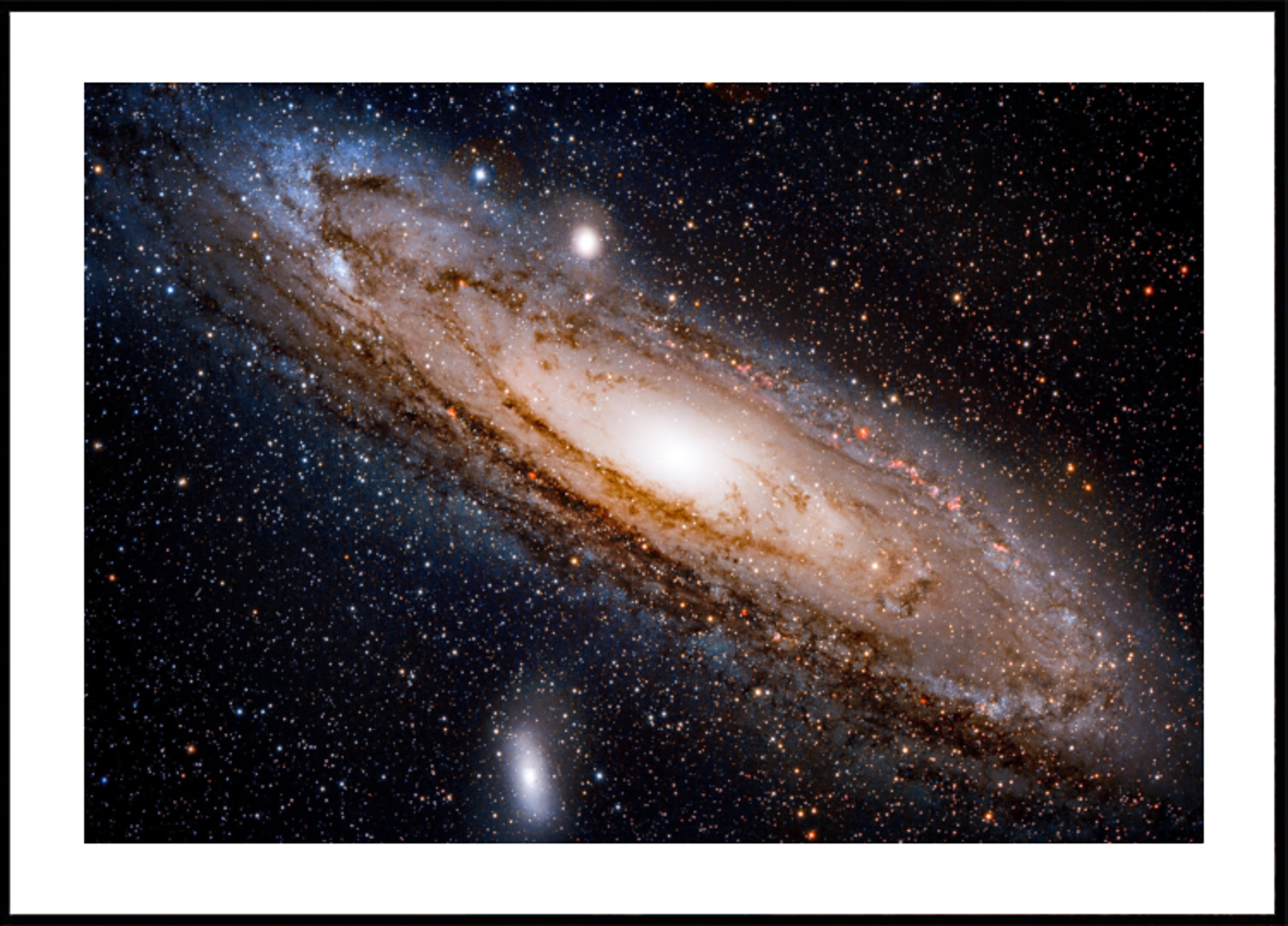Majestic Spiral Galaxy