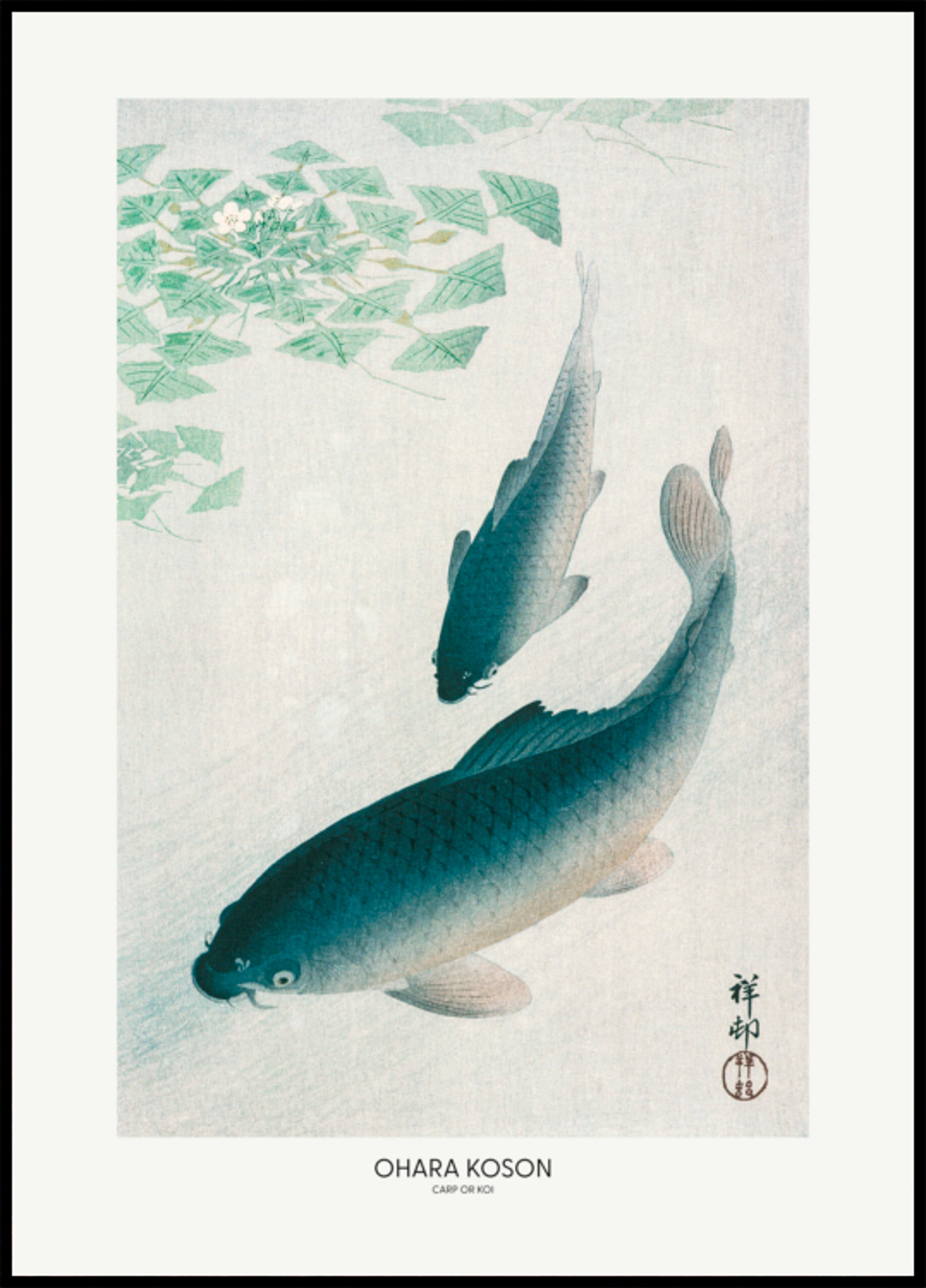 Carp Or Koi