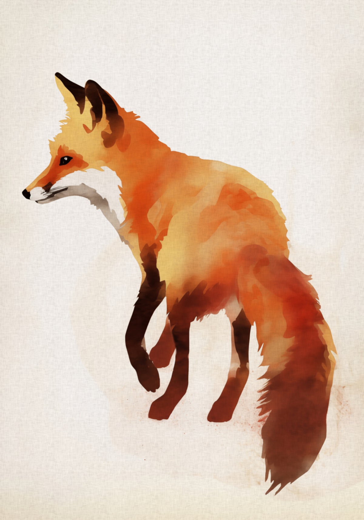 Red Fox Illustration