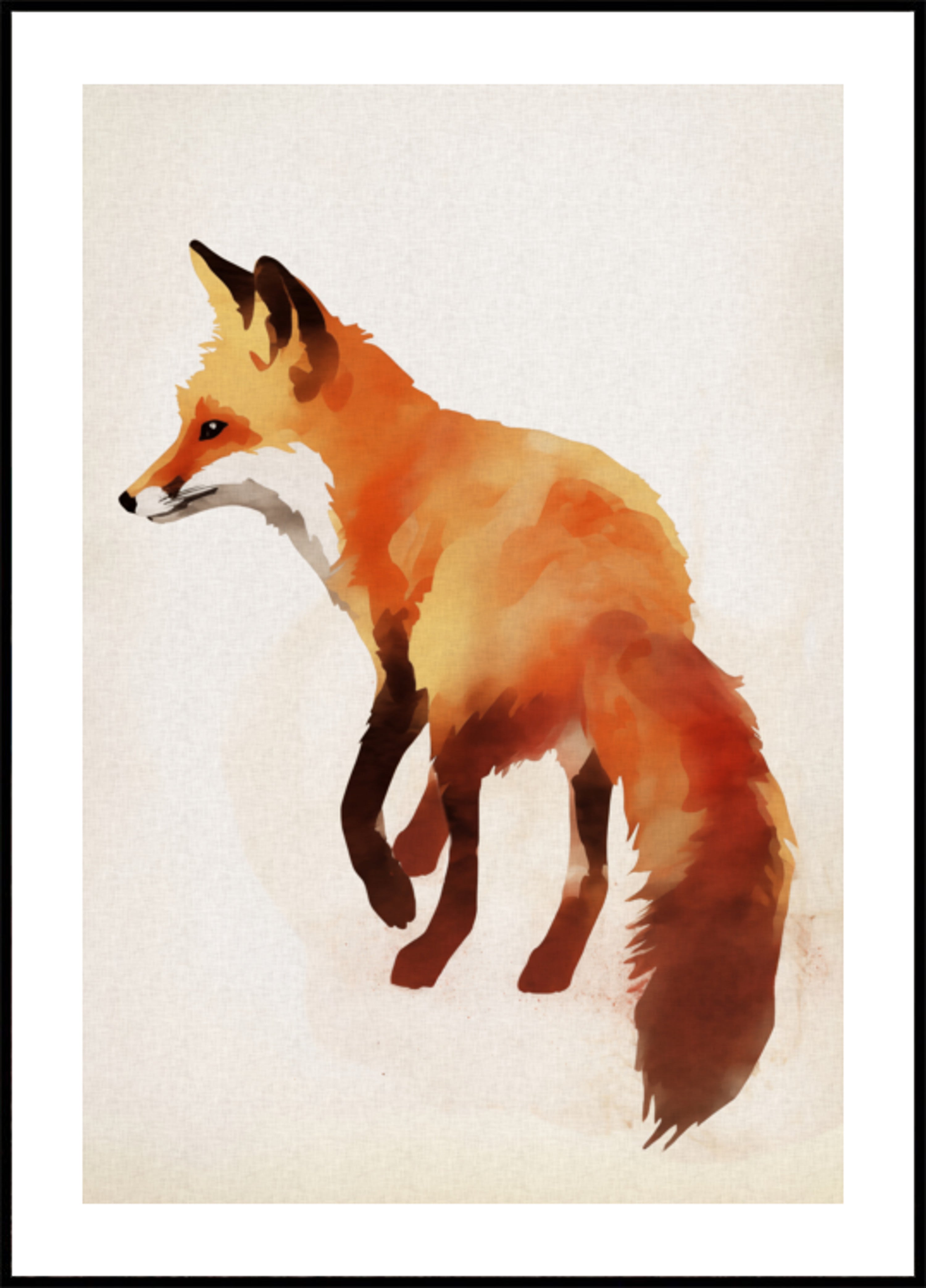 Red Fox Illustration