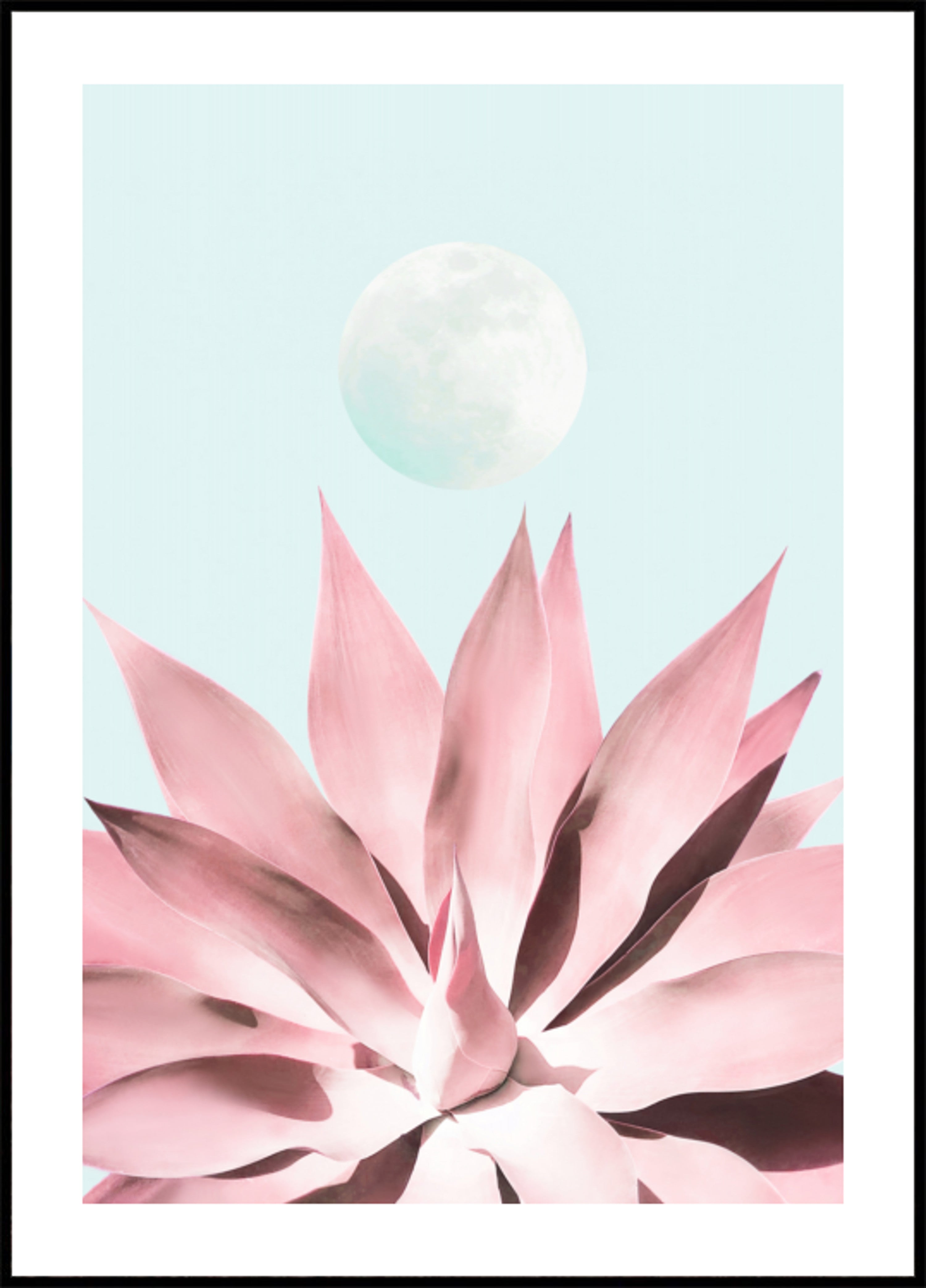 Pink Succulent Moon
