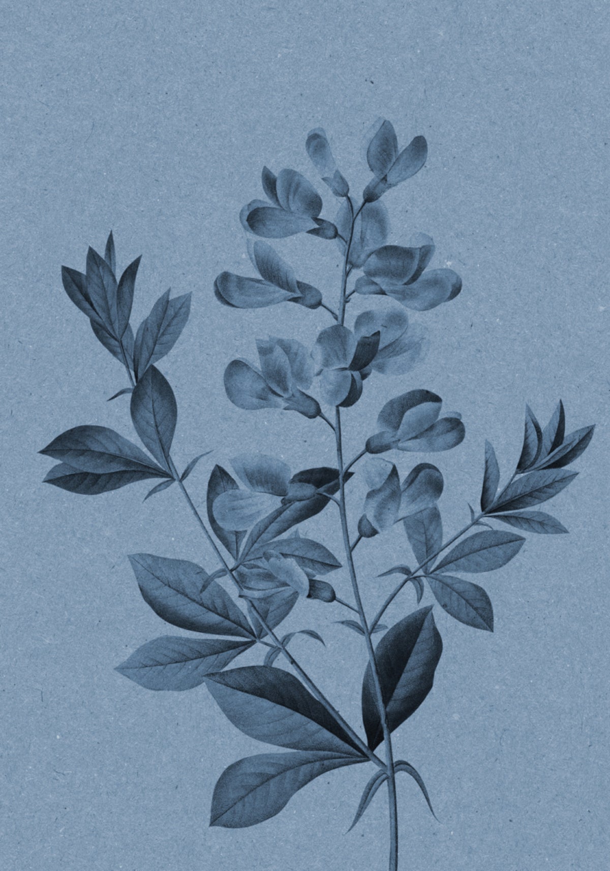 Elegant Blue Botanical
