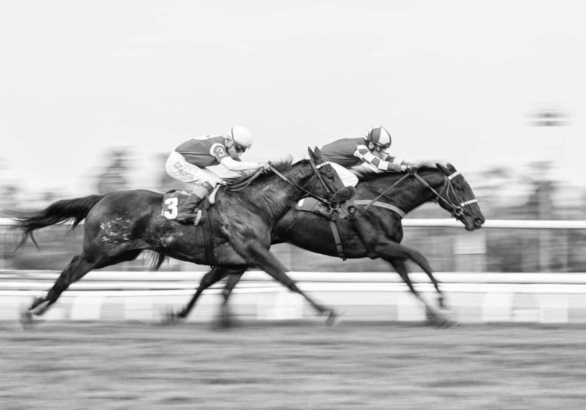 Dynamic Horse Race