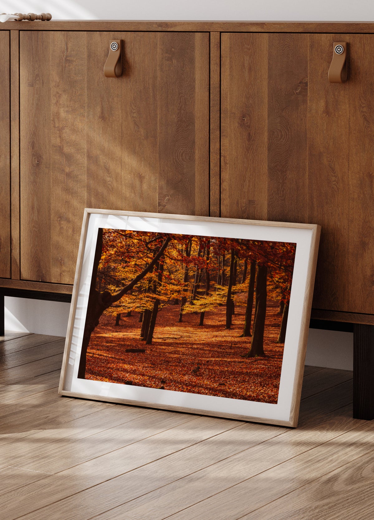 Golden Autumn Forest