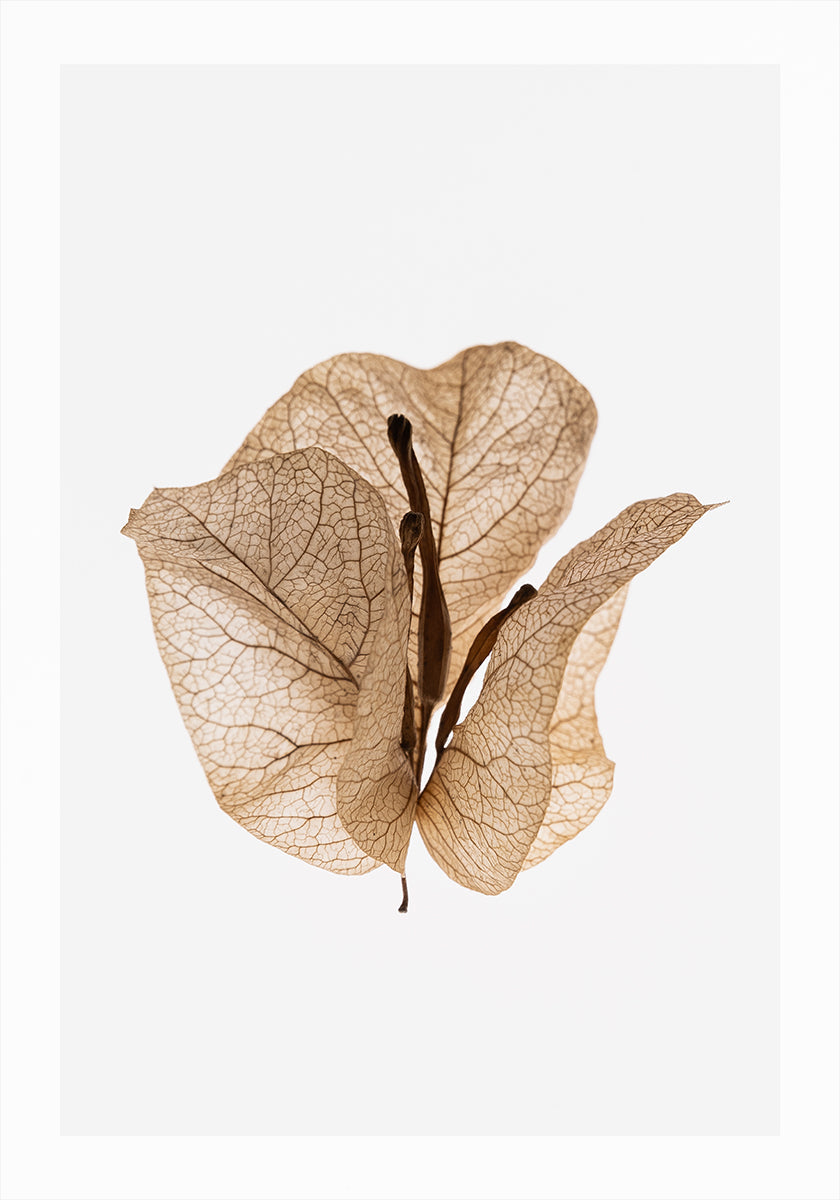 Gilded Pause Plakat
