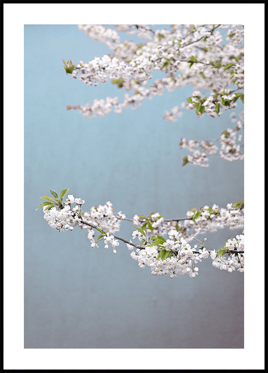 Colorful Spring 14 Plakat