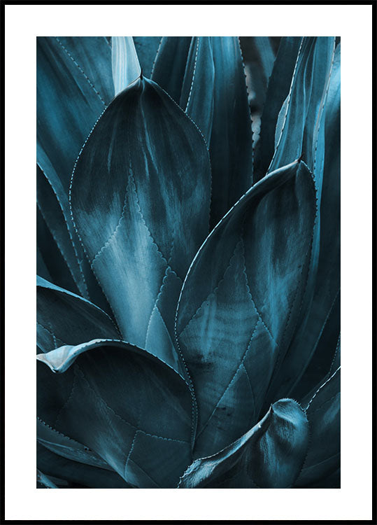 Dark Blue Plant Plakat