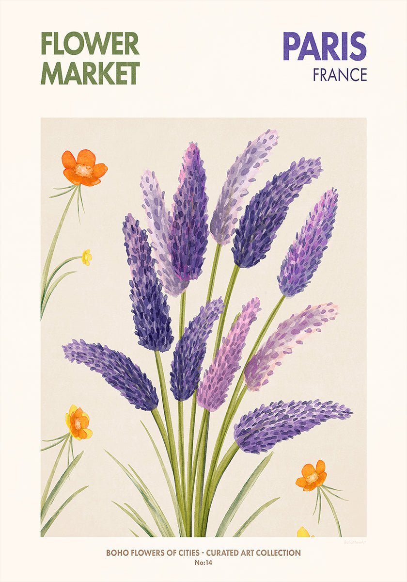 Lavender Blooms Plakat