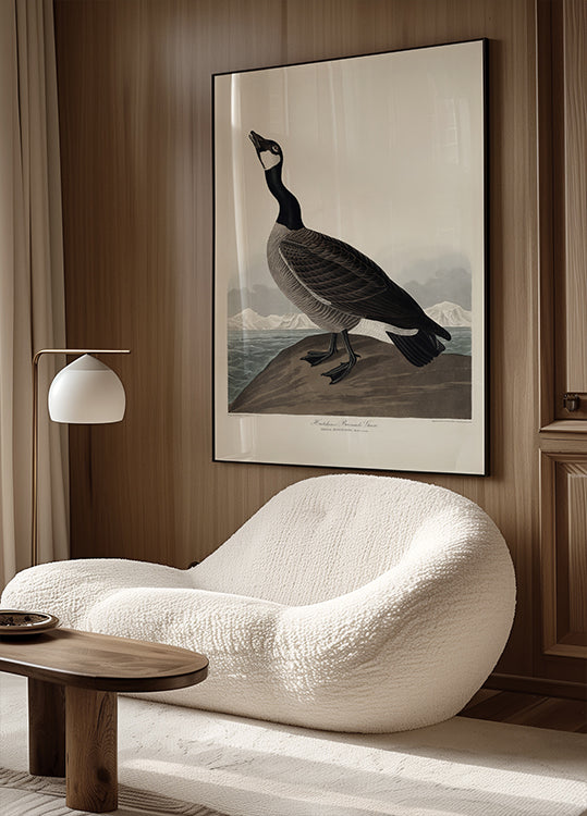 Hutchins's Barnacle Goose From Birds of America (1827) Plakat