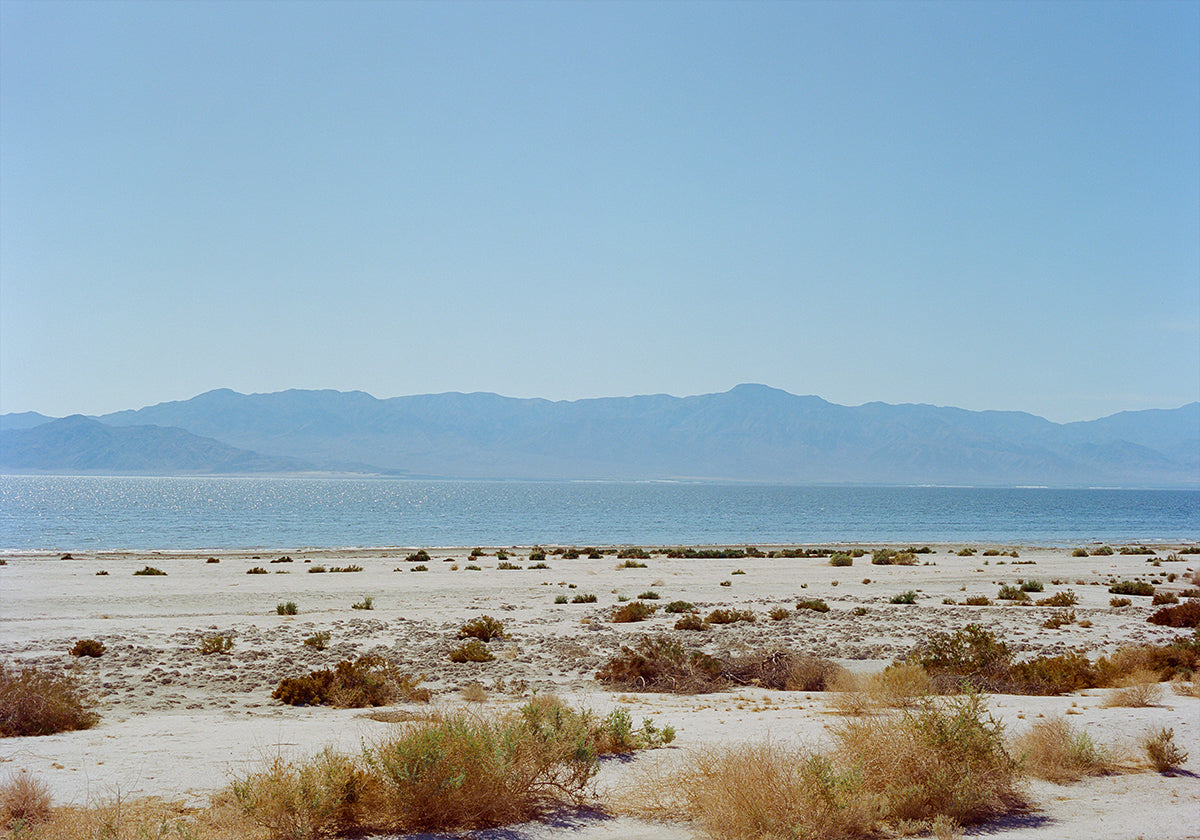 Bombay Beach Spring Plakat
