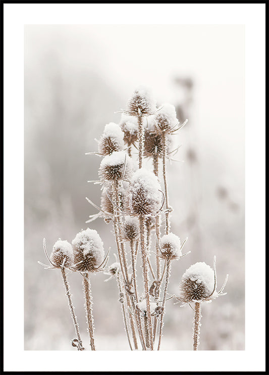 a picture of a bunch of flowers covered in snow