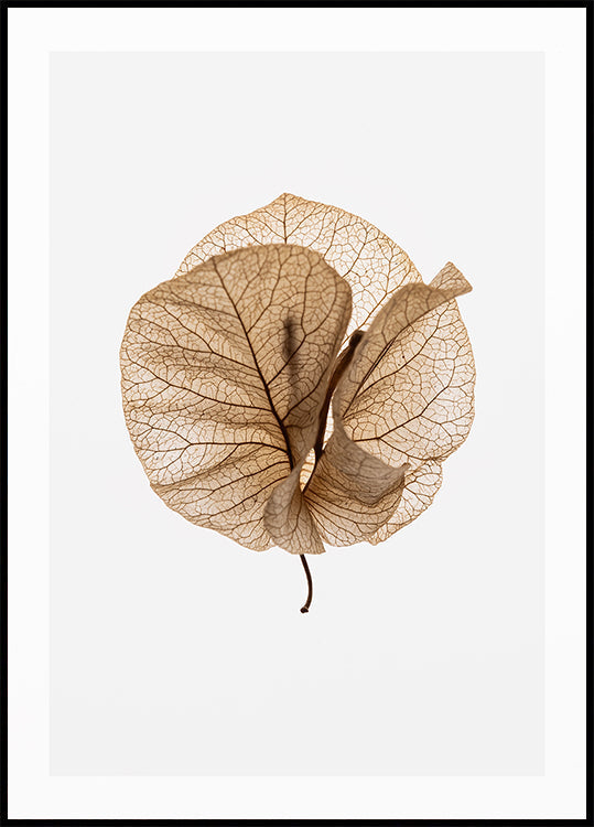 Fragile Glow Plakat
