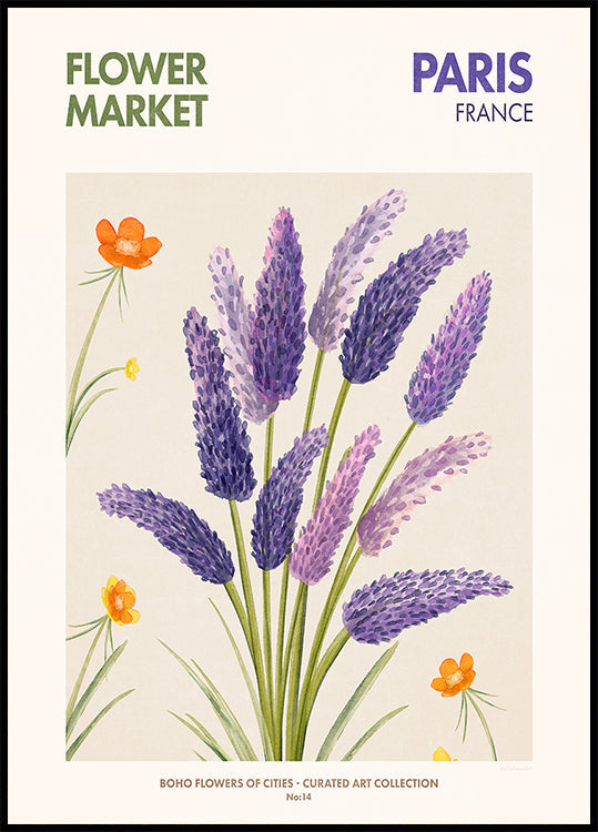 Lavender Blooms Plakat