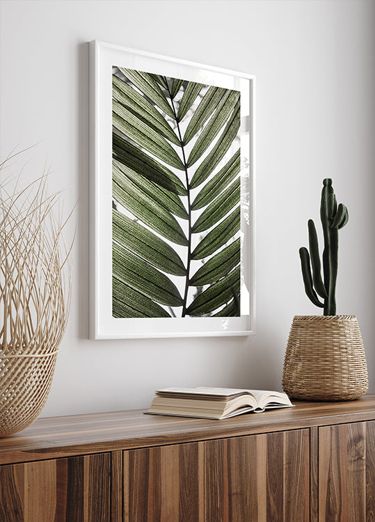 Palm Leaves 24 Plakat