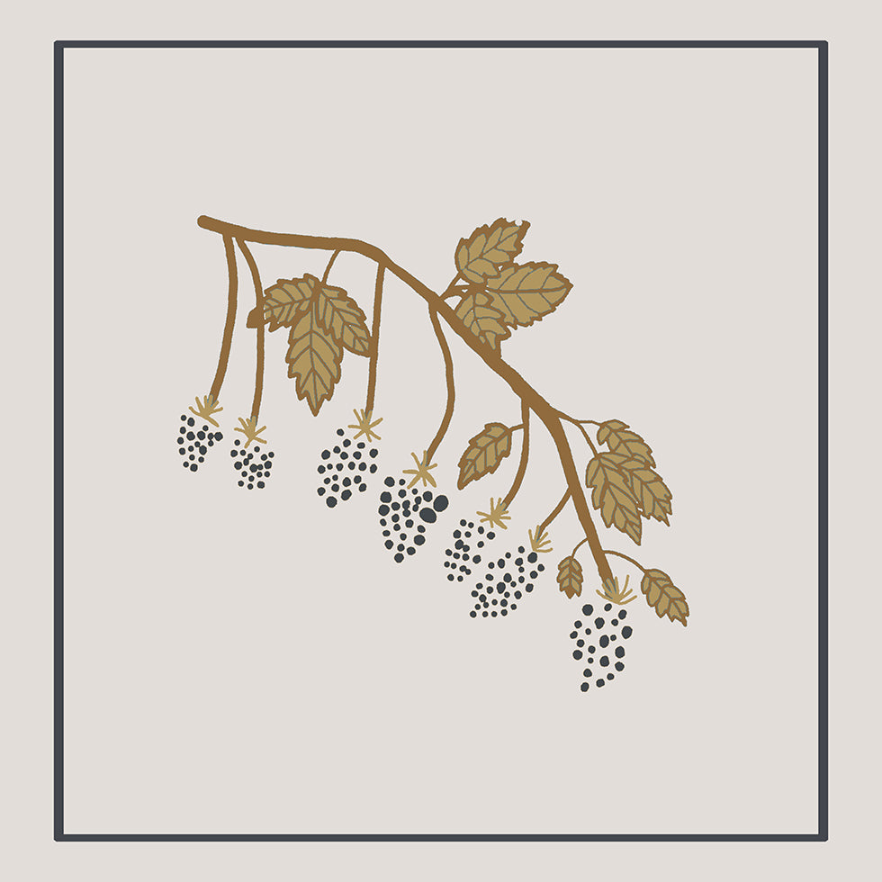 Blackberry Spring Plakat