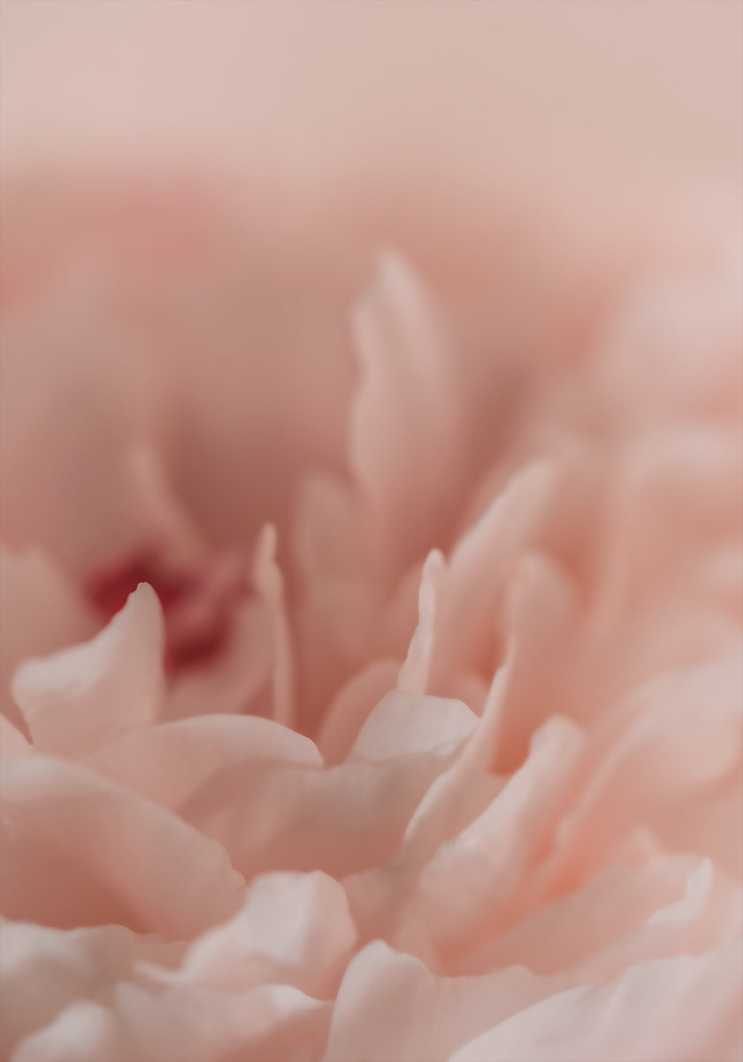 Blossoming No. 2 Plakat