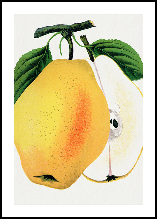 Kiefer's Hybrid Pear Lithograph Plakat