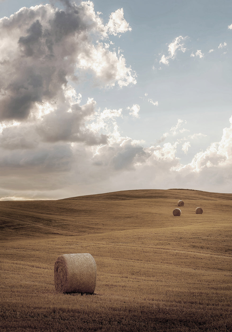 Field with Bales of Hay Plakat