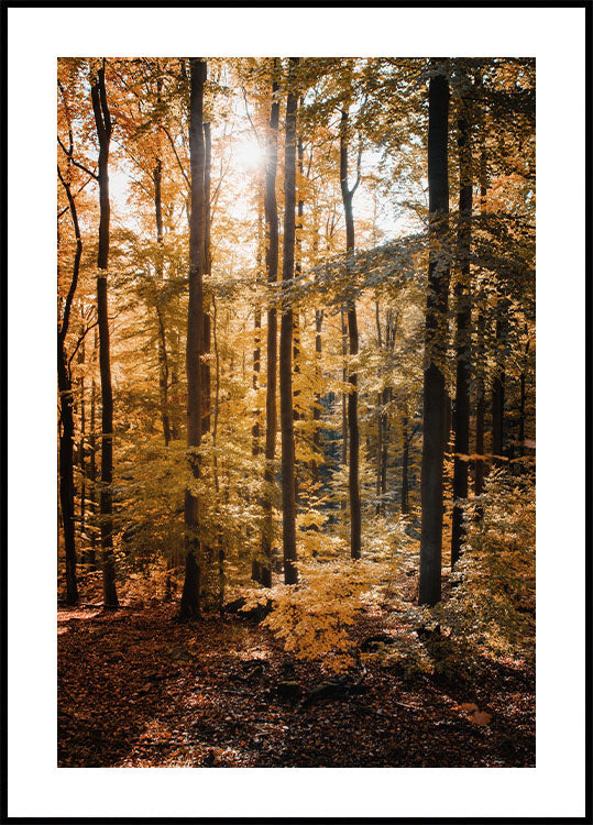 Golden Autumn Forest Plakat